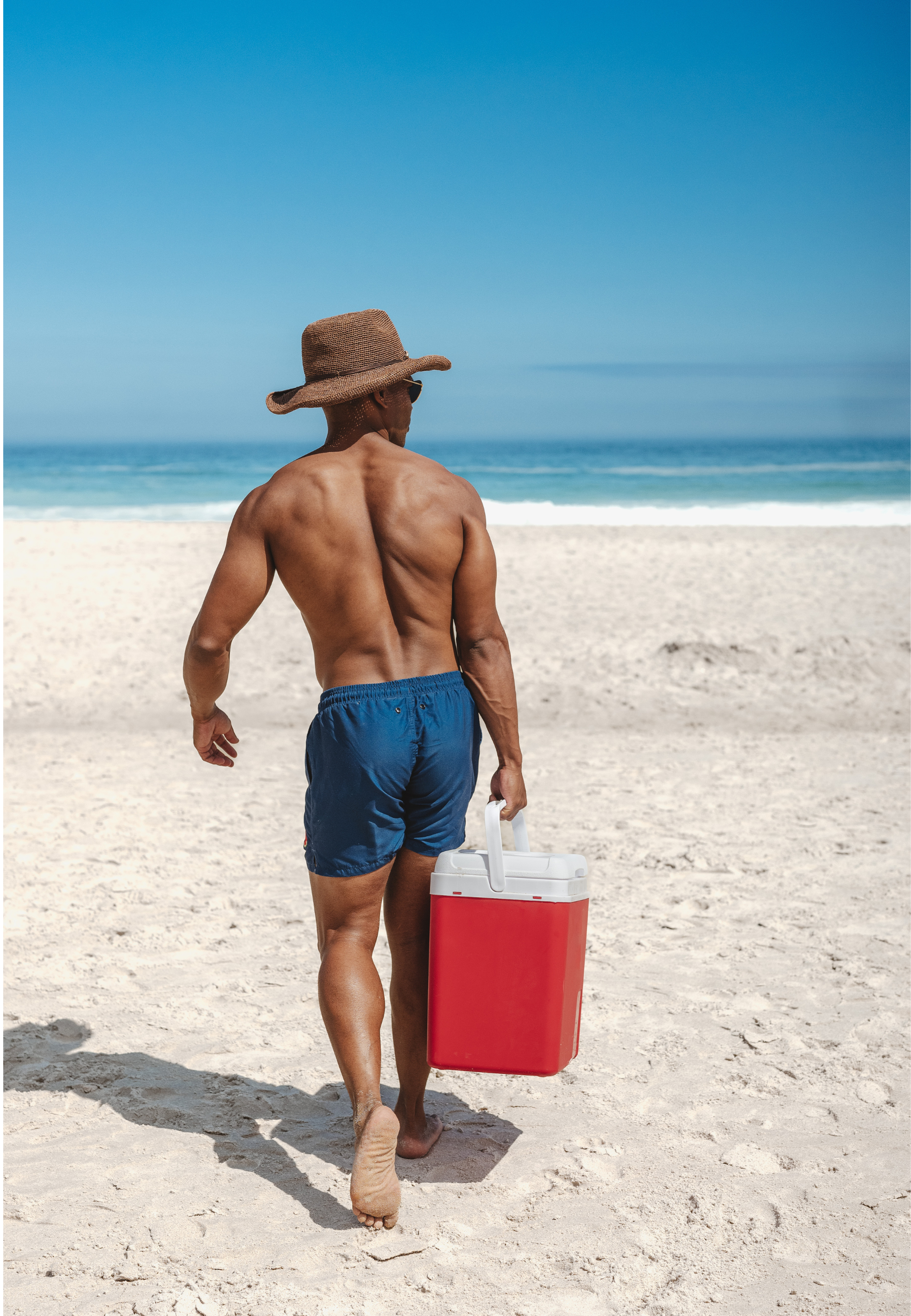 Watermelon Blue Plain