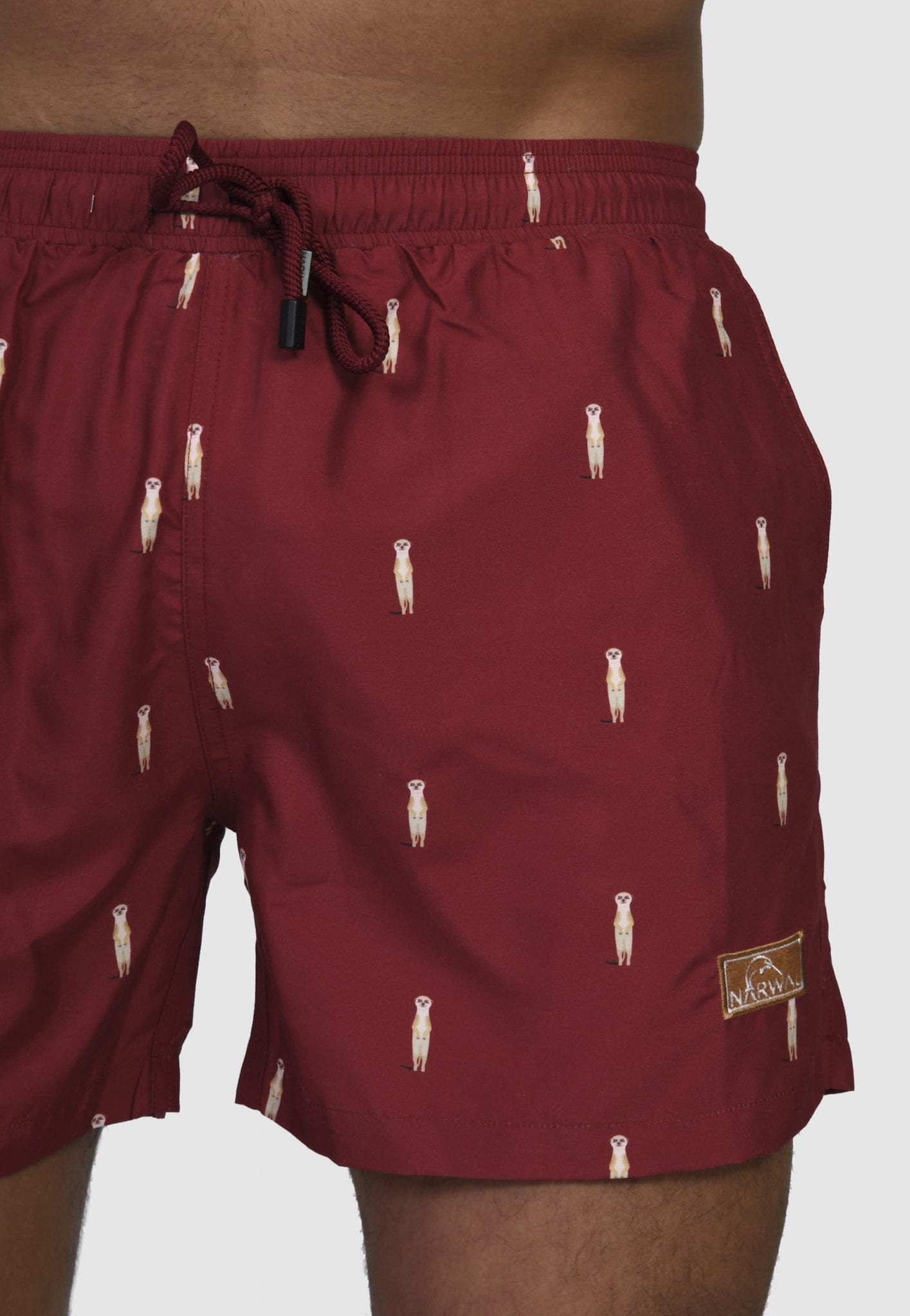 Meerkat Father & Son Swim Trunks