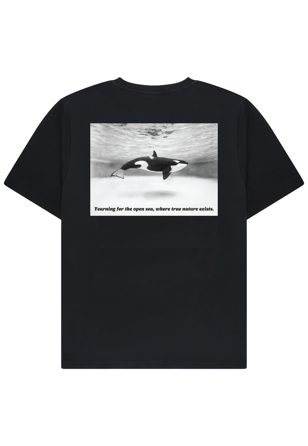 Orca - T-shirt